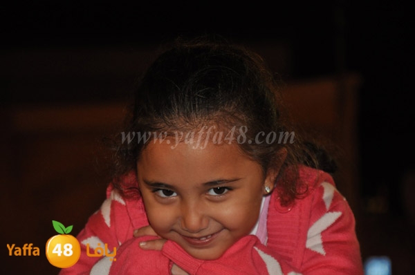 tree milad shajara (33).JPG